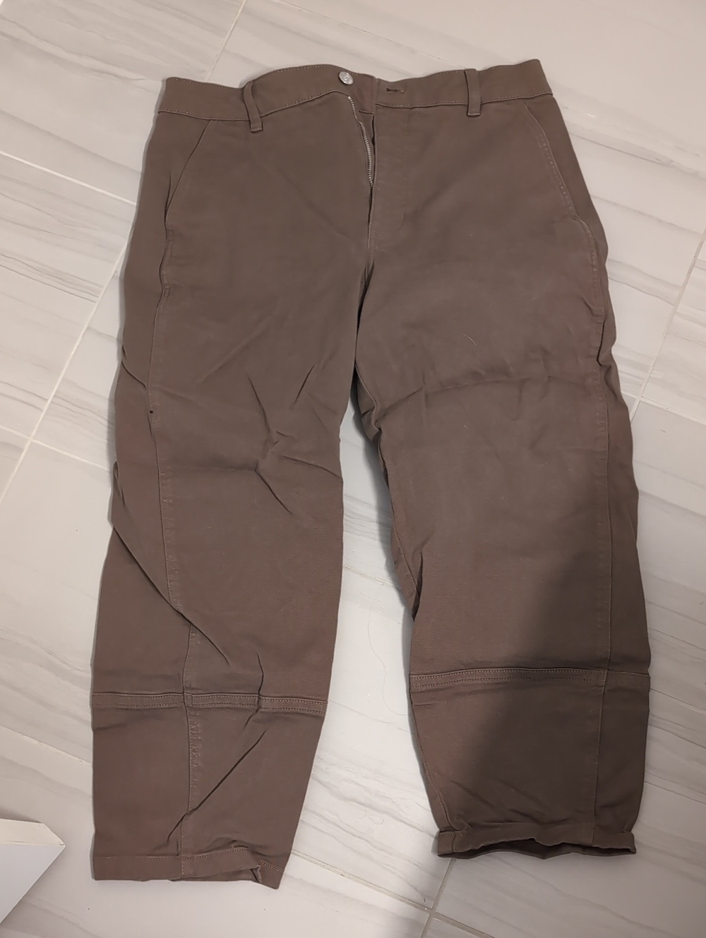 Everlane Utility Barrel Pants